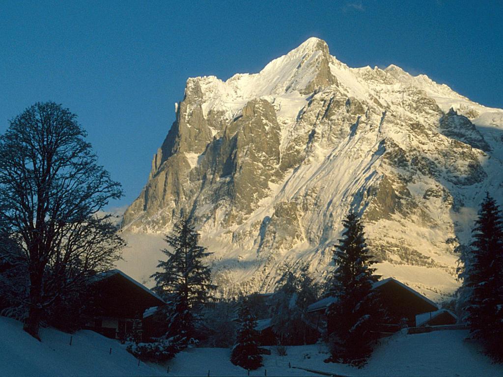 Apartmán Pfaffenstoeckli Grindelwald Exteriér fotografie